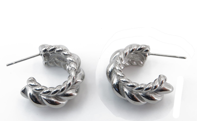 Picture of Women's steel  earrings