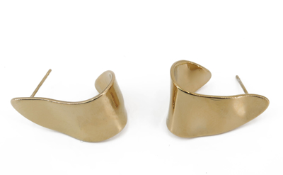Picture of Women's steel  curved earrings