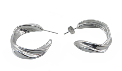 Picture of Women's steel  curved earrings